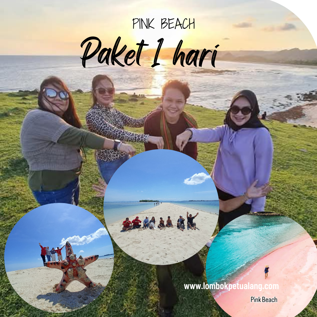 Trip harian  pink beach